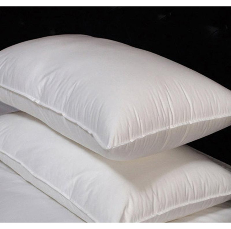 Alwyn Home Mccloud Pillow Insert & Reviews Wayfair